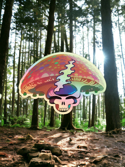 Amanita Mushroom Stealie Skull / 3”x4.24” in
