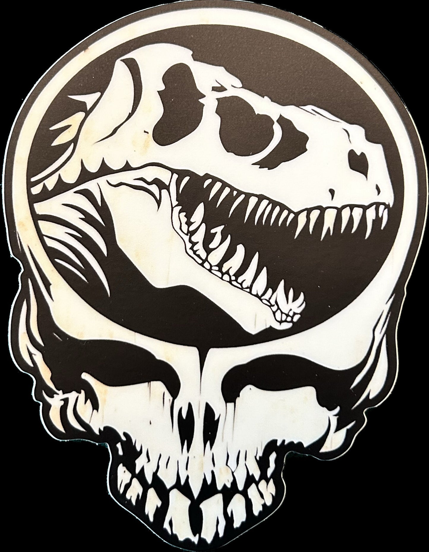 Jurassic Stealie Skull 3.5 x 3.24 inch